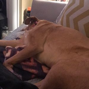 Meet your Posher, Billy